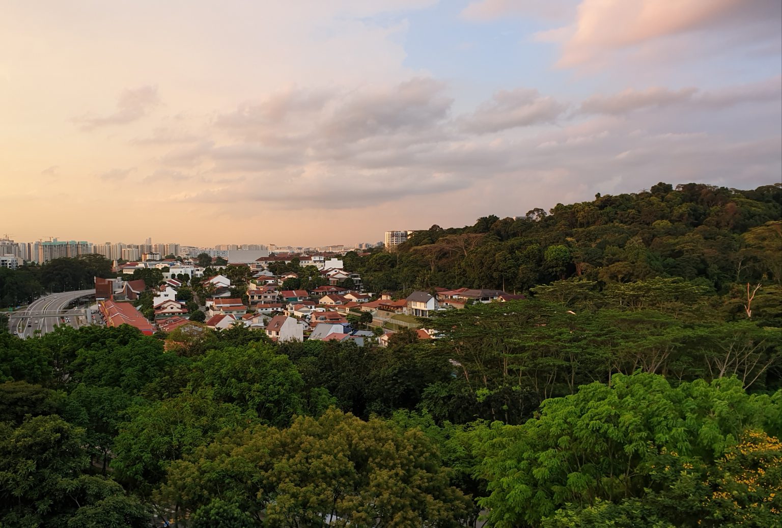 1H 2025 GLS: Steady Supply of Homes to Pace Private Housing Demand