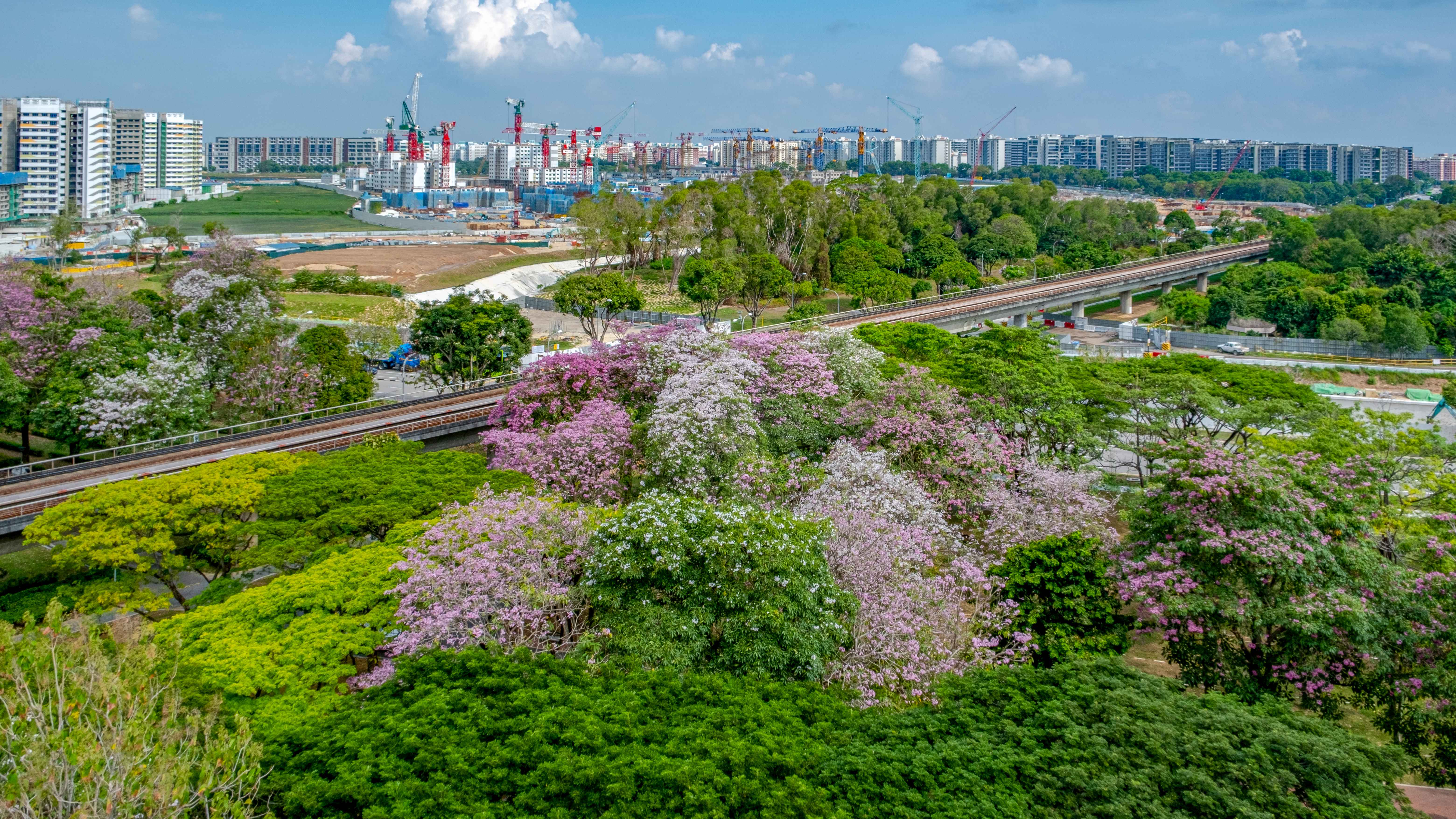 Wait and Miss Out: Fewer New Homes Are Coming to the East in 2026.