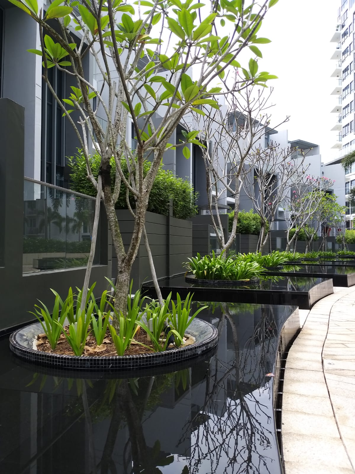 Skies Miltonia, D27 new launch condo Singapore